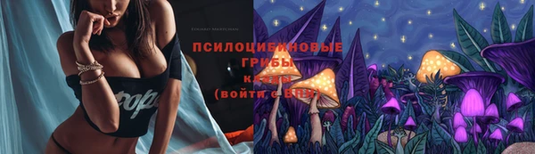 СК Алагир