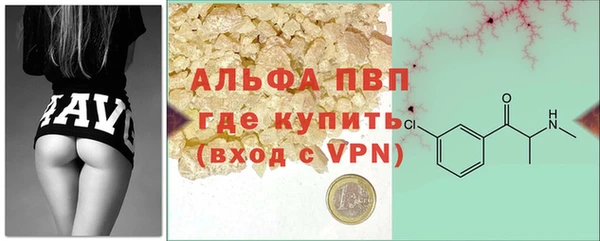 СК Алагир