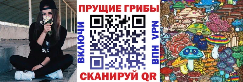 Псилоцибиновые грибы мухоморы  Галич 
